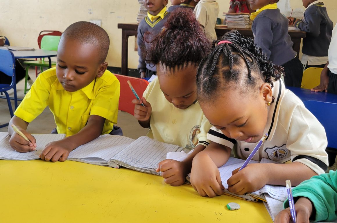 Shule ya St teresia wa avila pre & primary school inapatikana kibamba